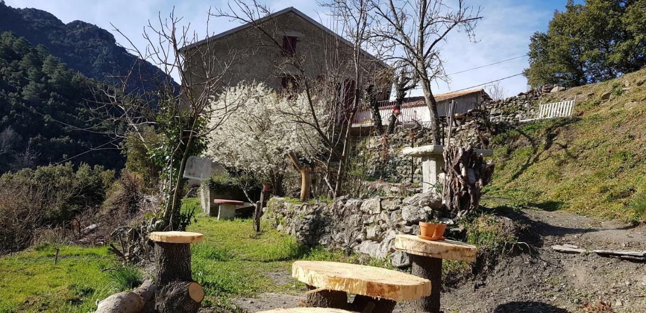 Camping L'Agrottu Au Coeur De La Corse Santa-Lucia-di-Mercurio Luaran gambar