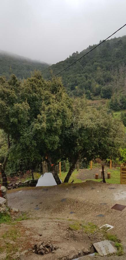 Camping L'Agrottu Au Coeur De La Corse Santa-Lucia-di-Mercurio Luaran gambar