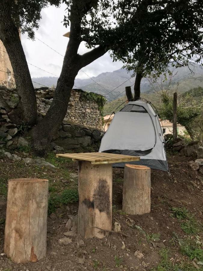 Camping L'Agrottu Au Coeur De La Corse Santa-Lucia-di-Mercurio Luaran gambar