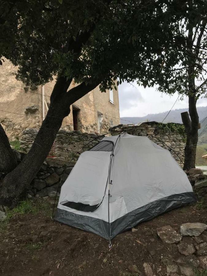 Camping L'Agrottu Au Coeur De La Corse Santa-Lucia-di-Mercurio Luaran gambar