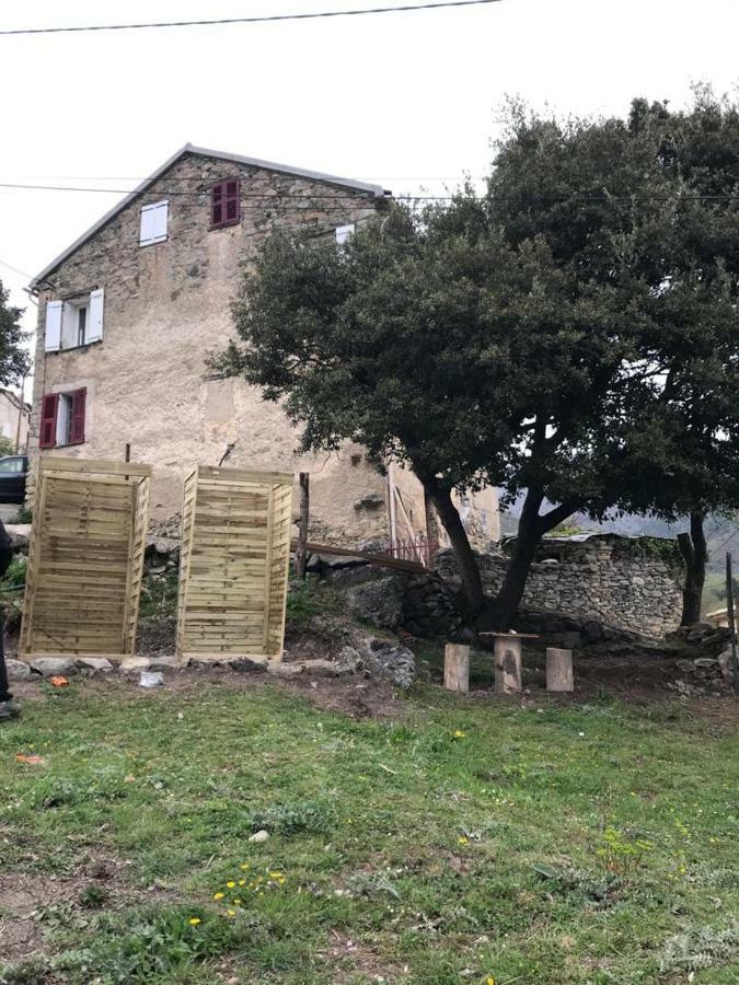 Camping L'Agrottu Au Coeur De La Corse Santa-Lucia-di-Mercurio Luaran gambar