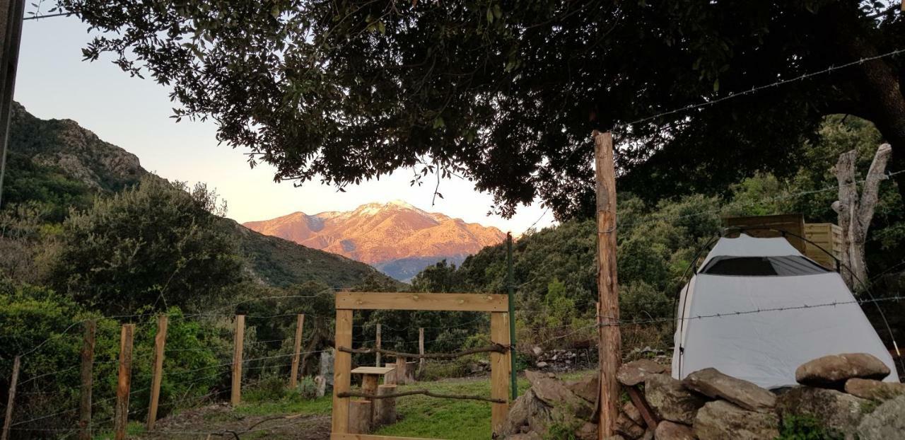 Camping L'Agrottu Au Coeur De La Corse Santa-Lucia-di-Mercurio Luaran gambar